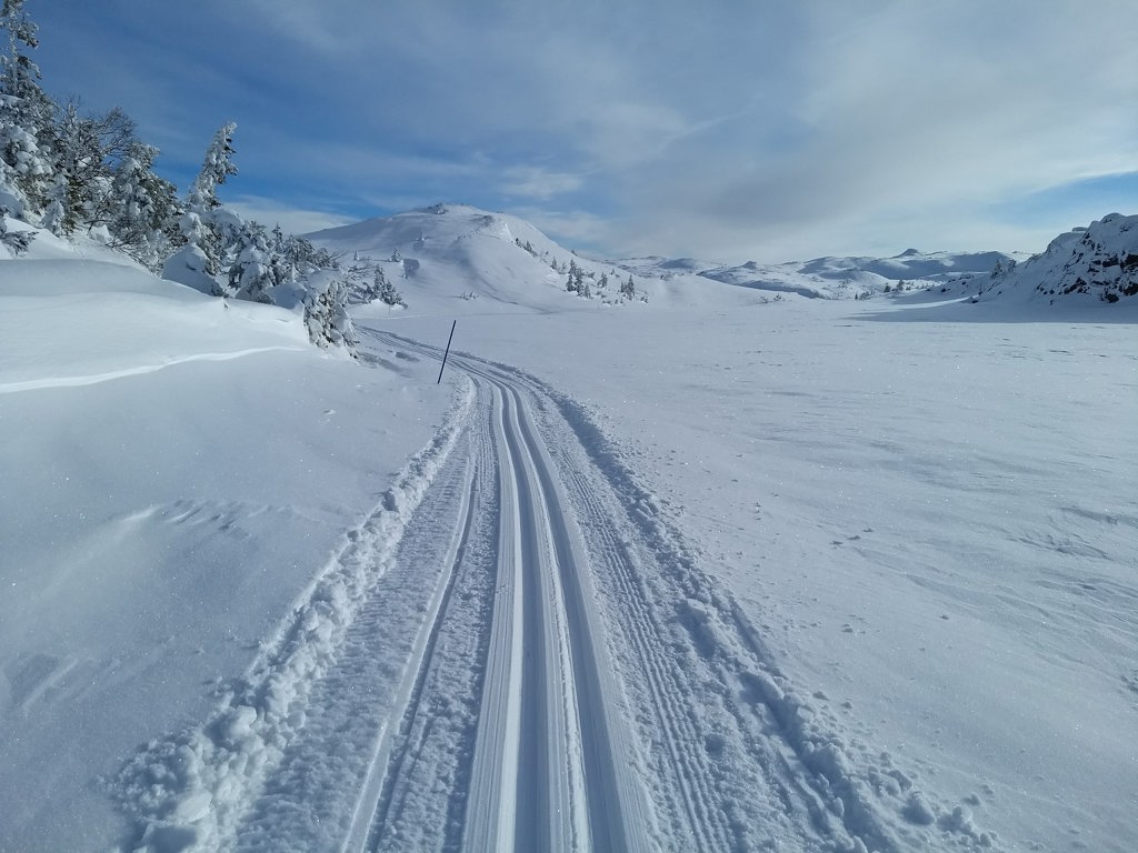 Skiløyper Liemarka 2018