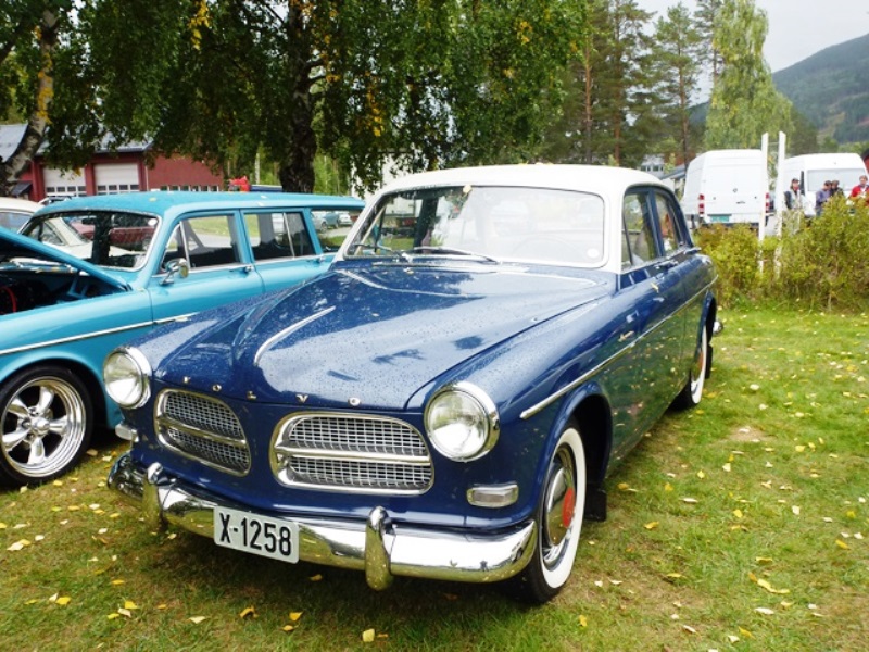 46.JPG