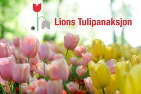 Lions Tulipanaksjon nærmer seg! 