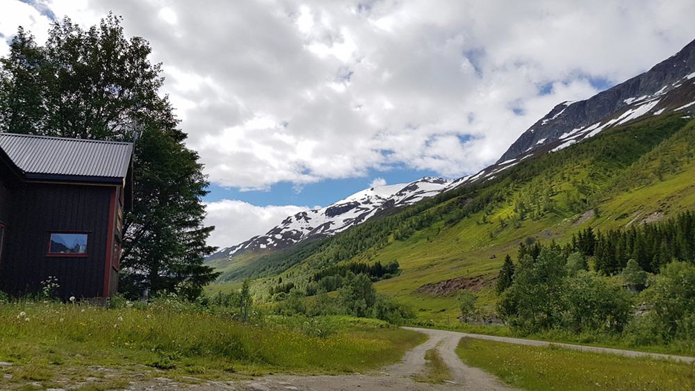 Lokalmat fra geitene i Beiarn 24-26. juni