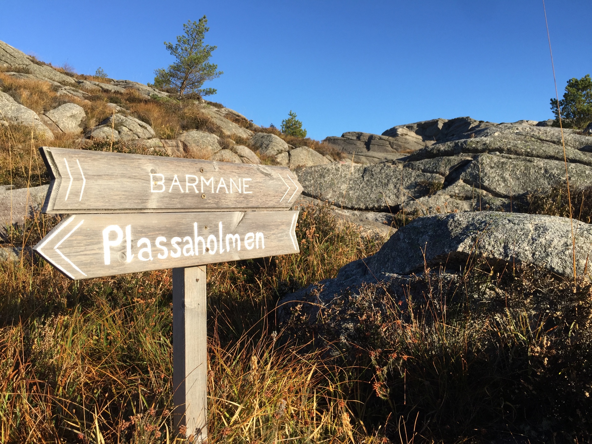 SKILT.JPG