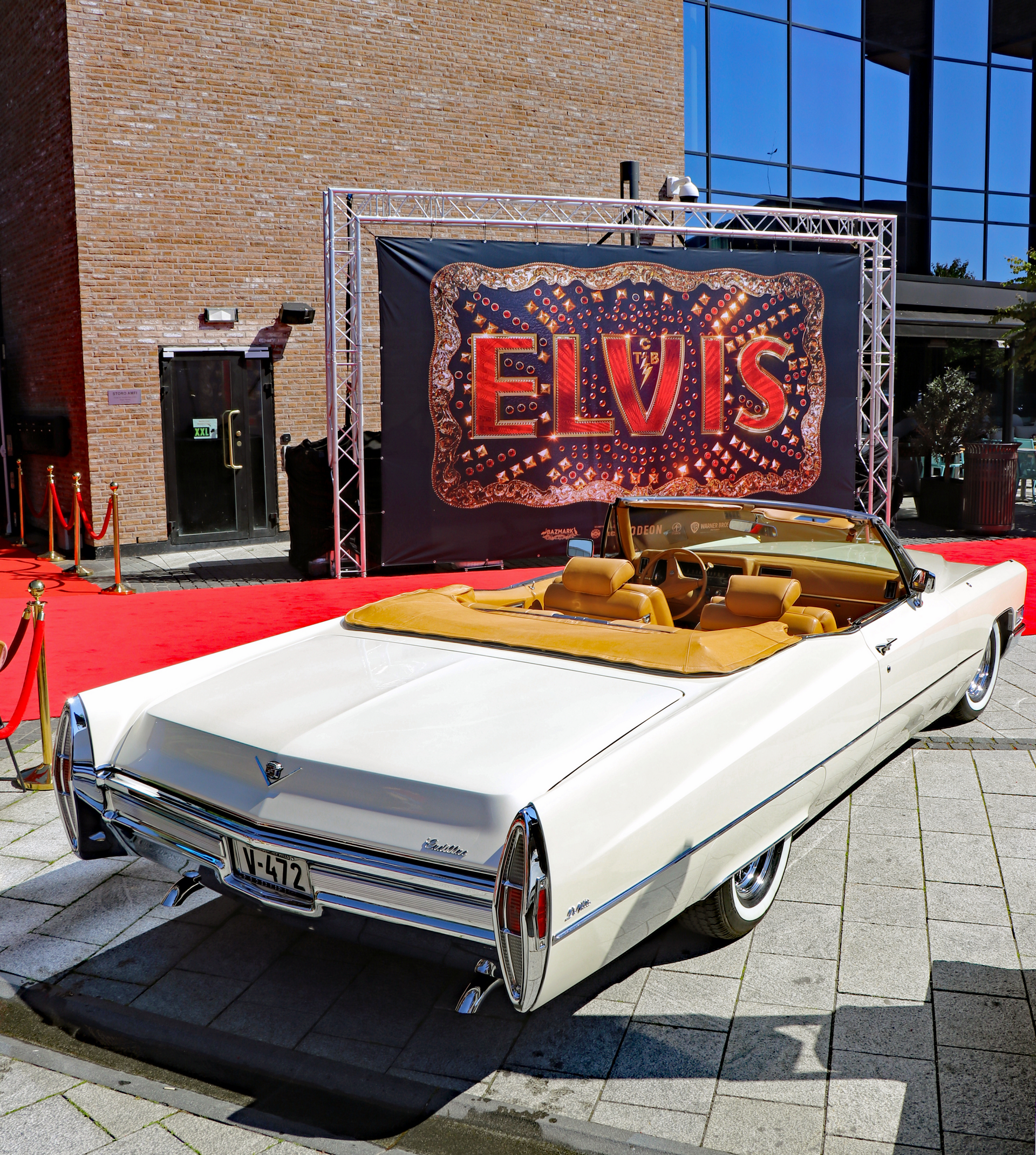 Elvis 24.06.2022, 001.JPG