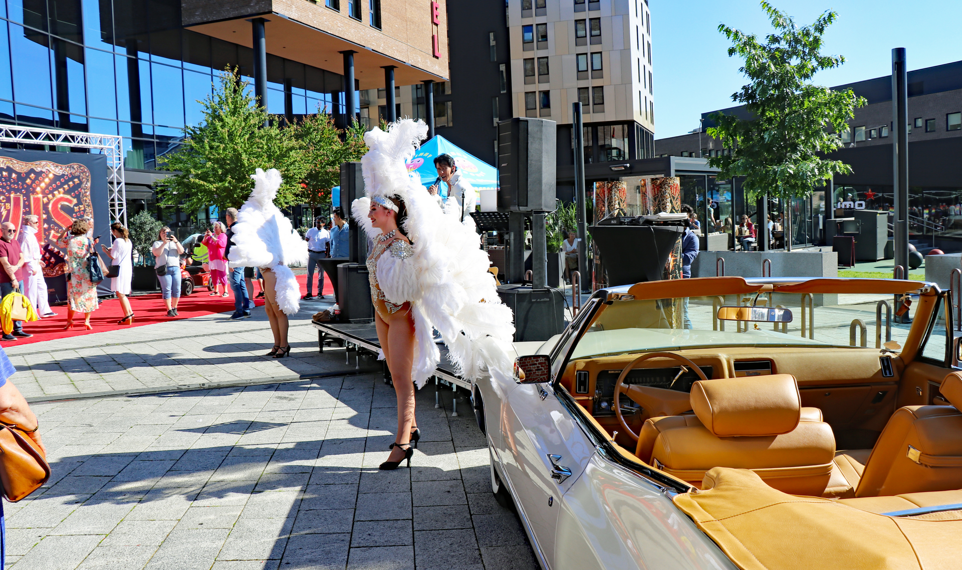 Elvis 24.06.2022, 036.jpg
