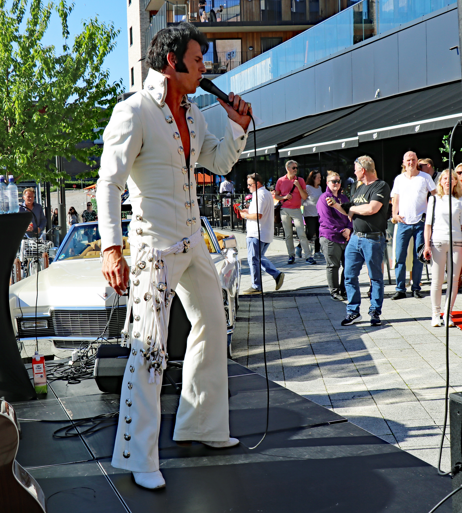 Elvis 24.06.2022, 037.jpg