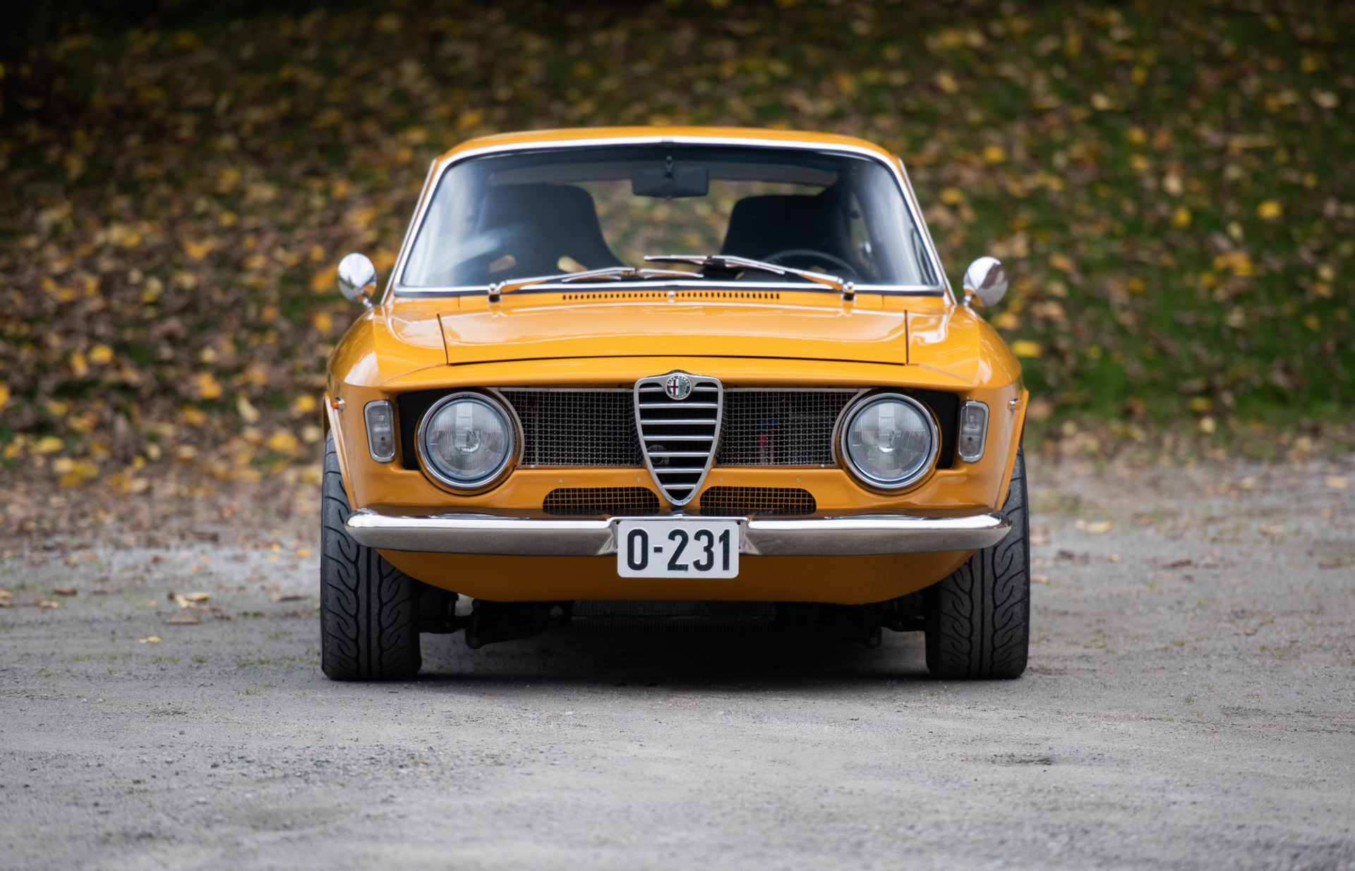 DSC_5998.jpg
