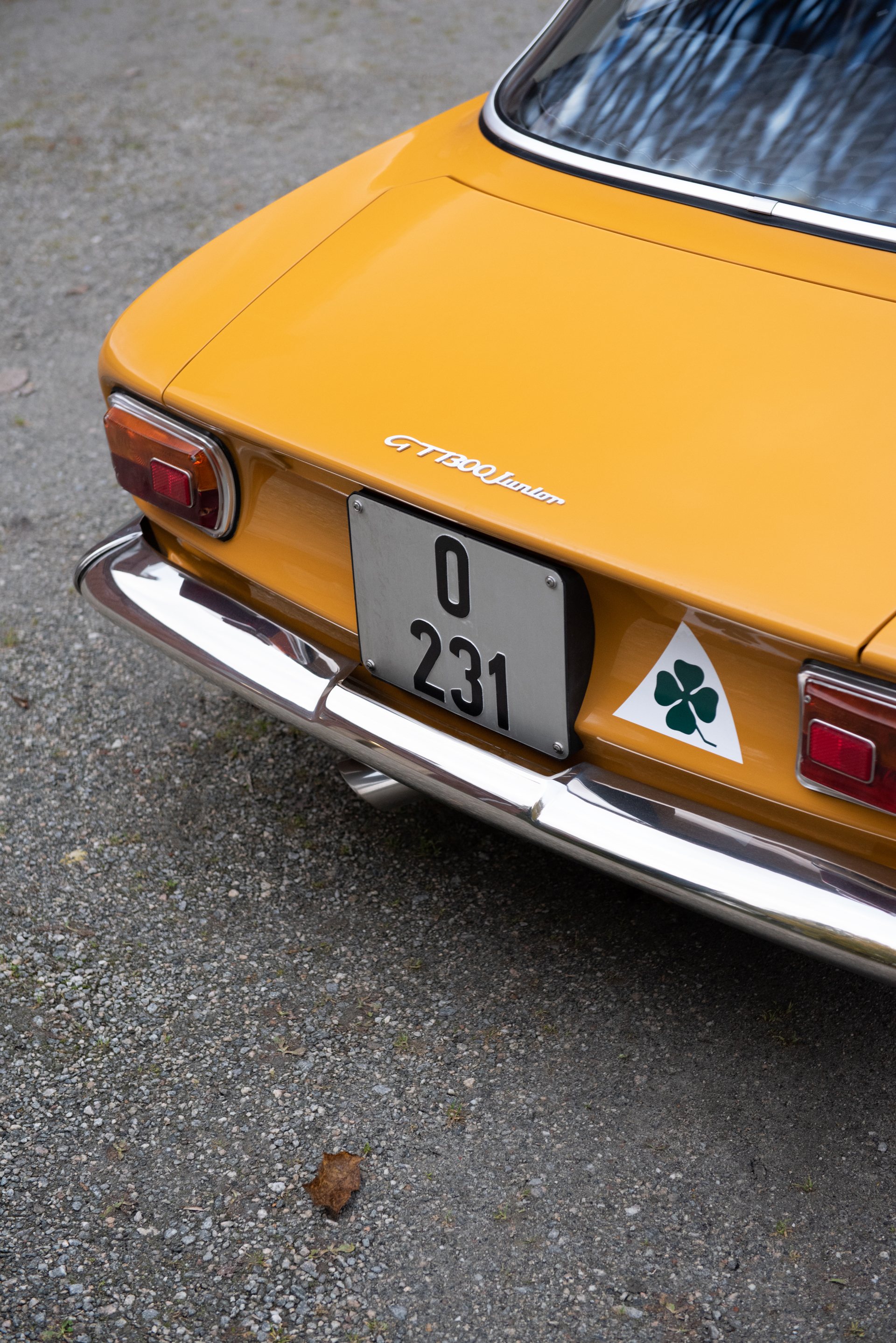 DSC_6093.jpg
