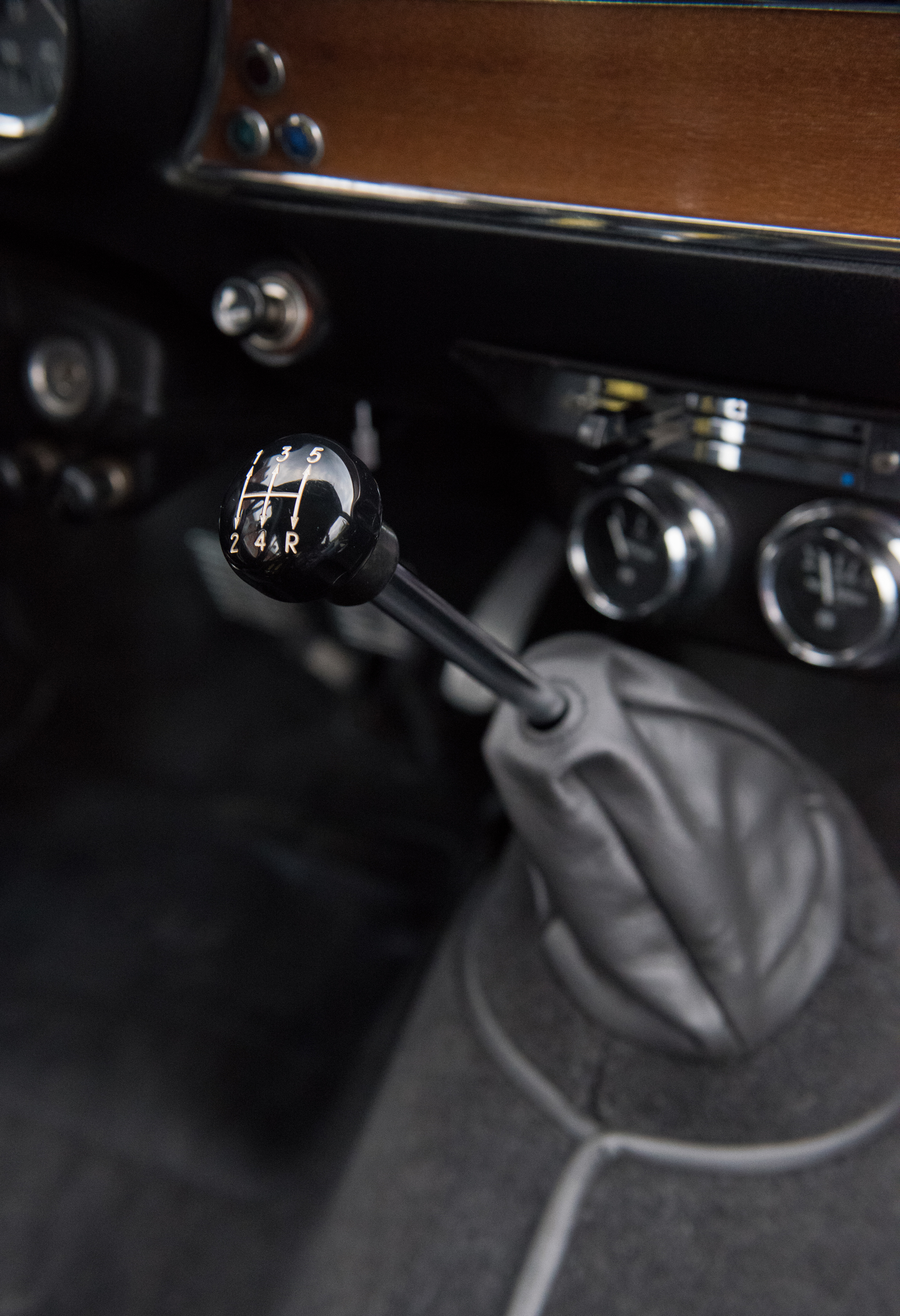 DSC_6130.jpg