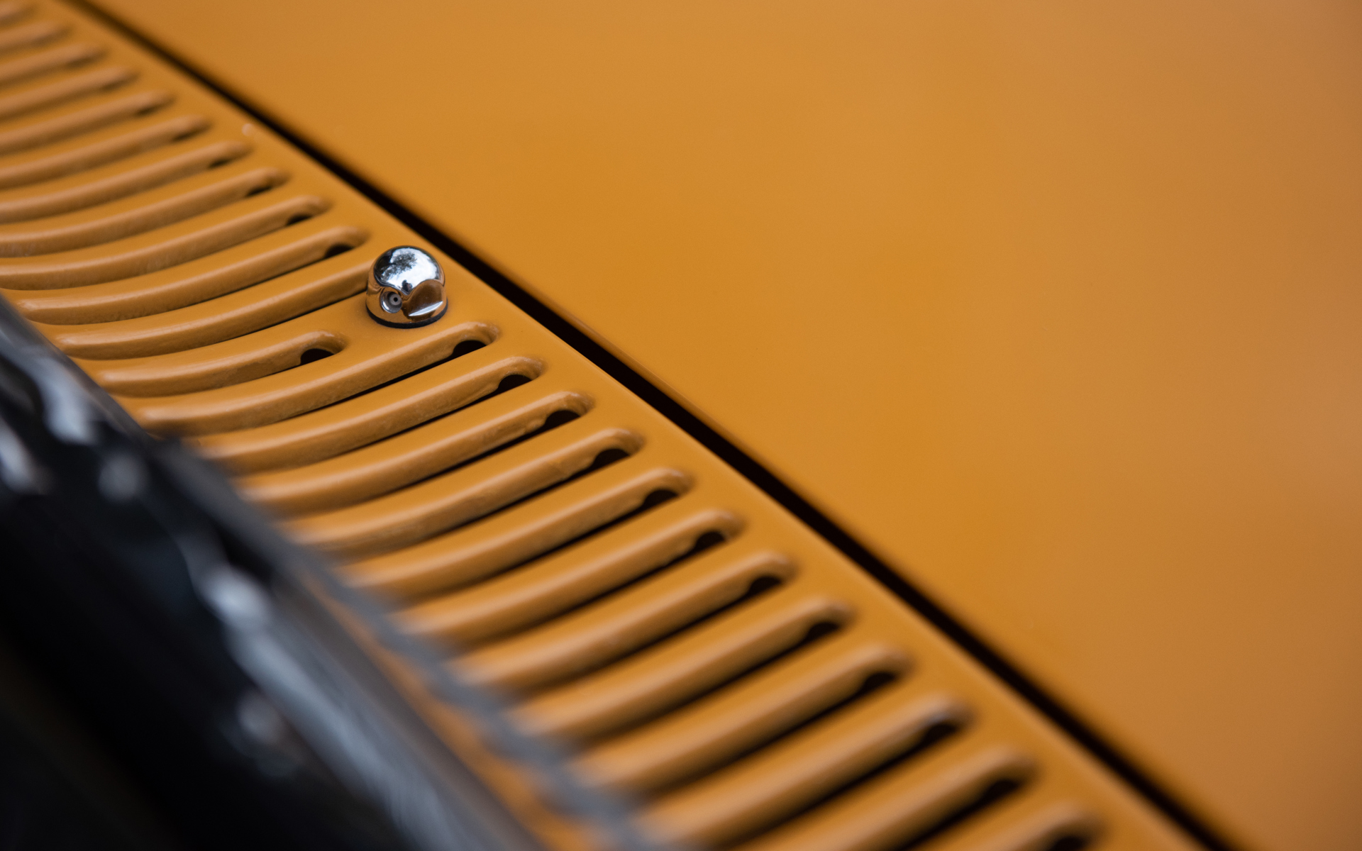 DSC_6174.jpg