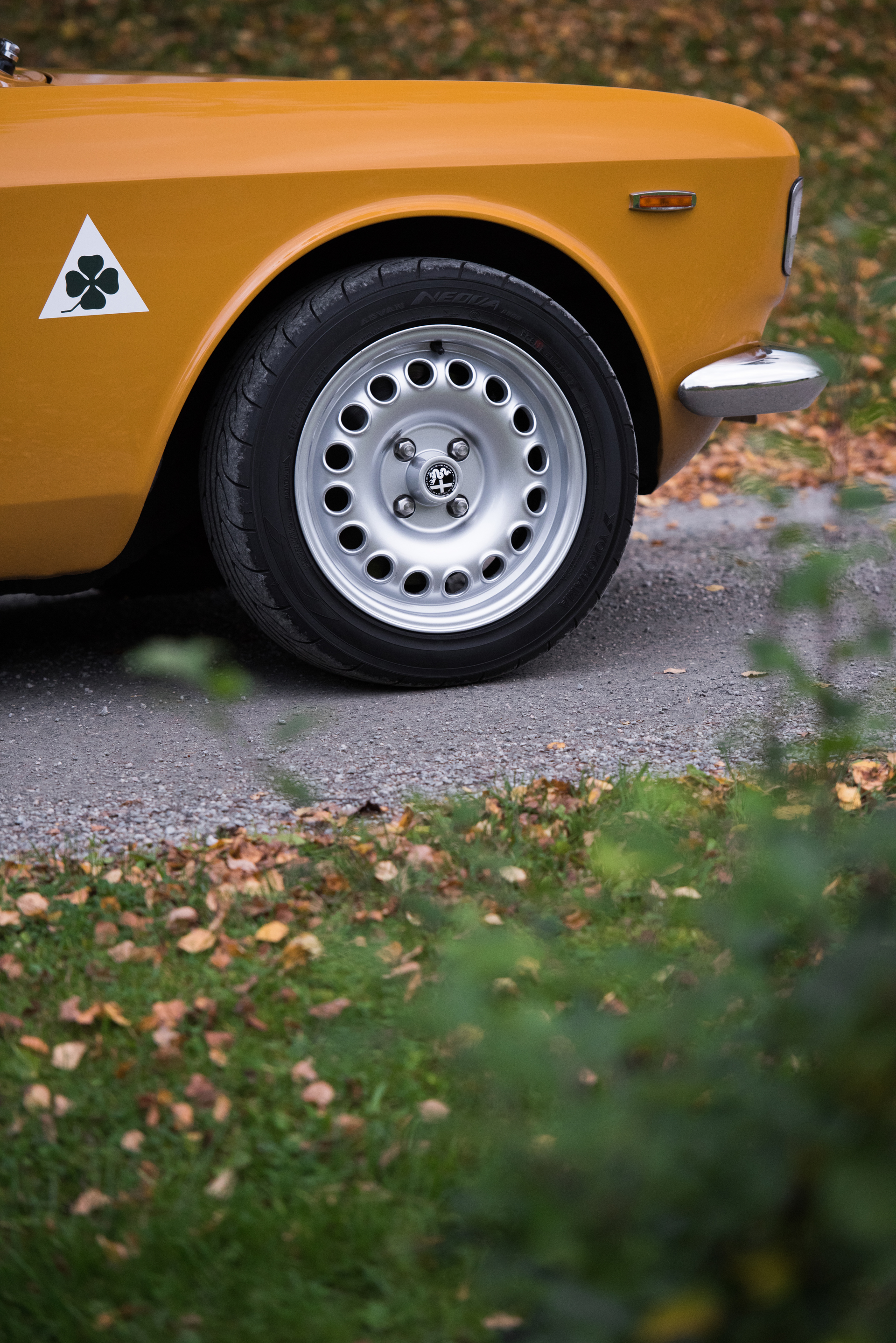 DSC_6186.jpg