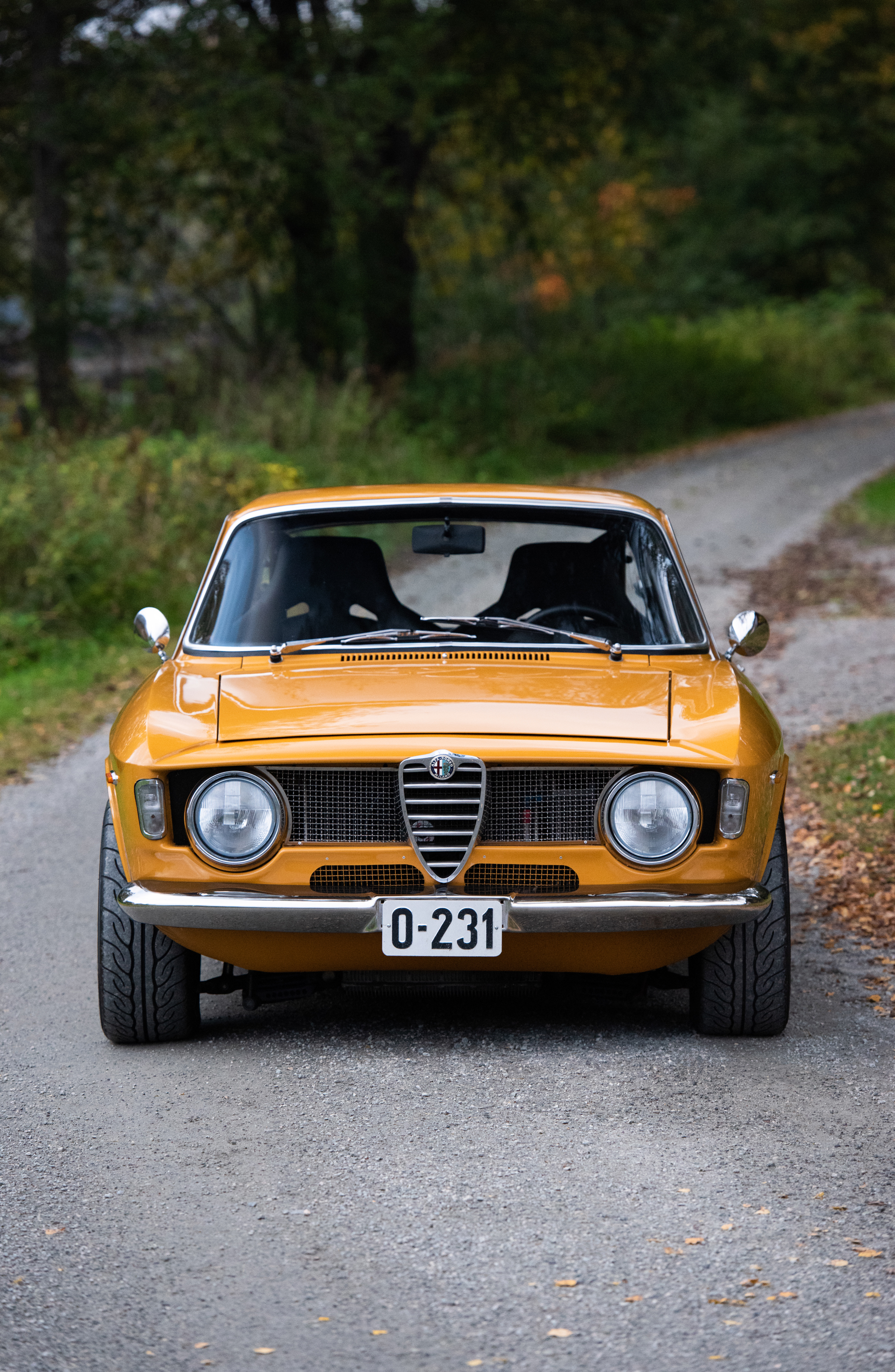 DSC_6195.jpg
