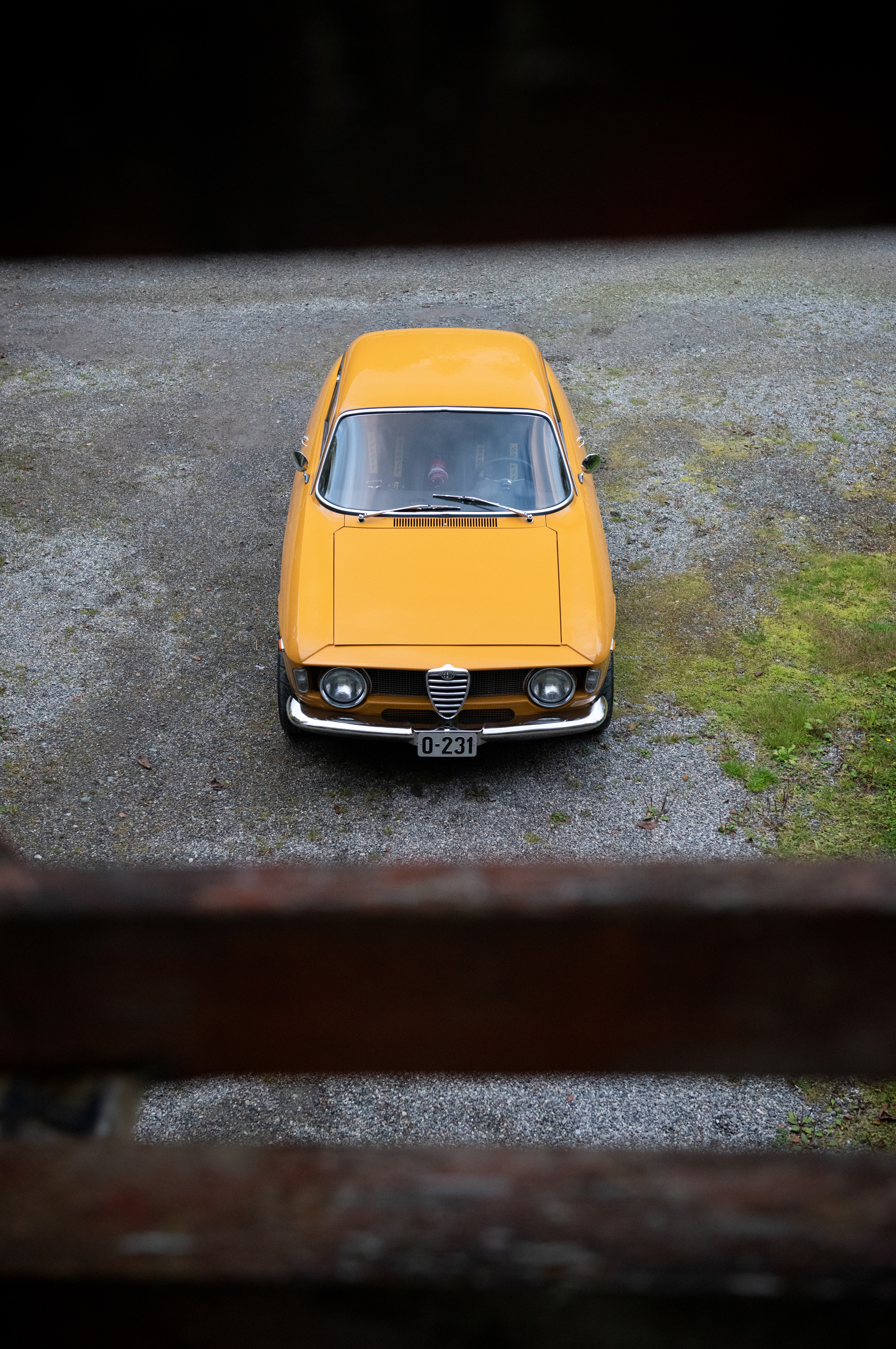 DSC_6253.jpg