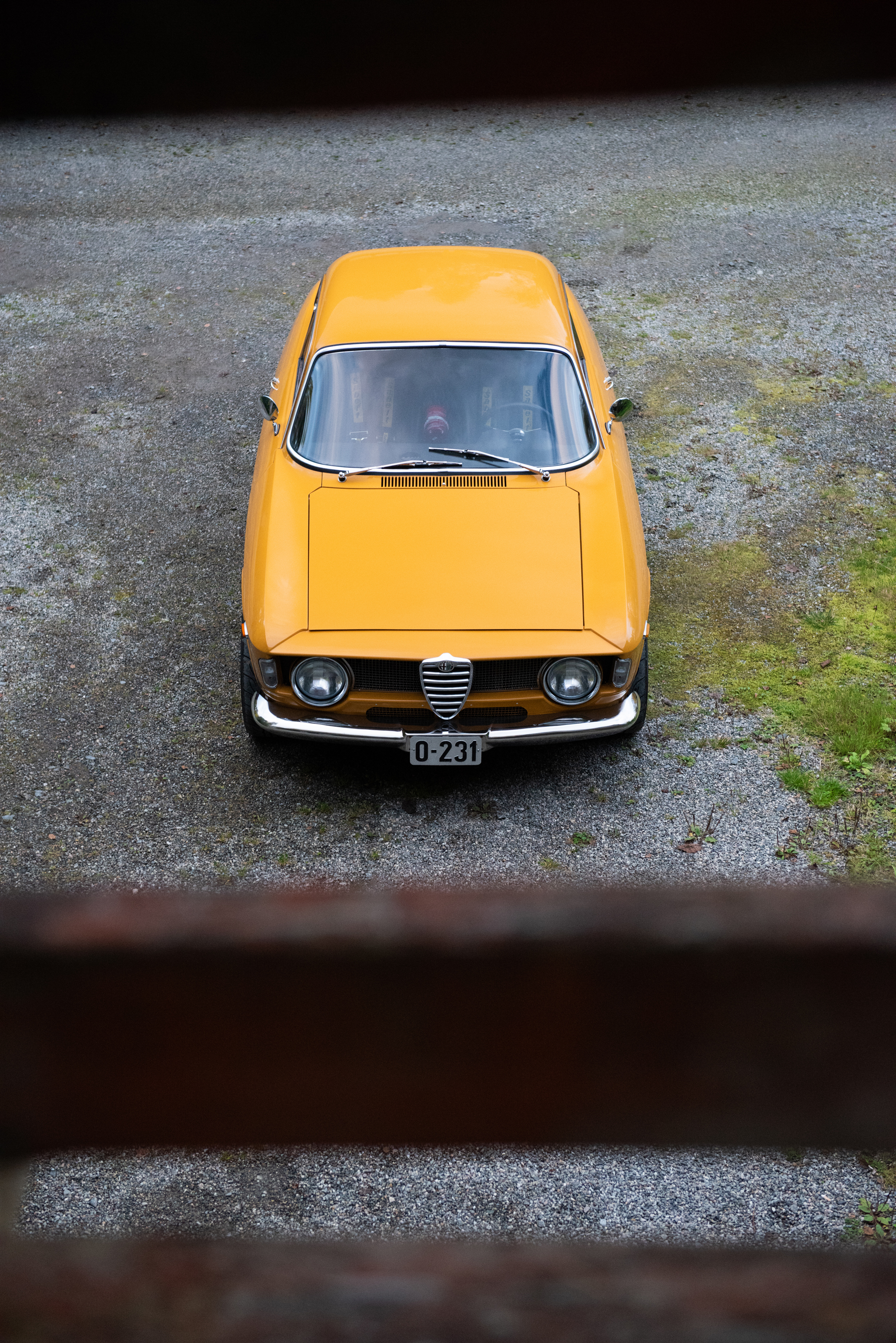 DSC_6256.jpg