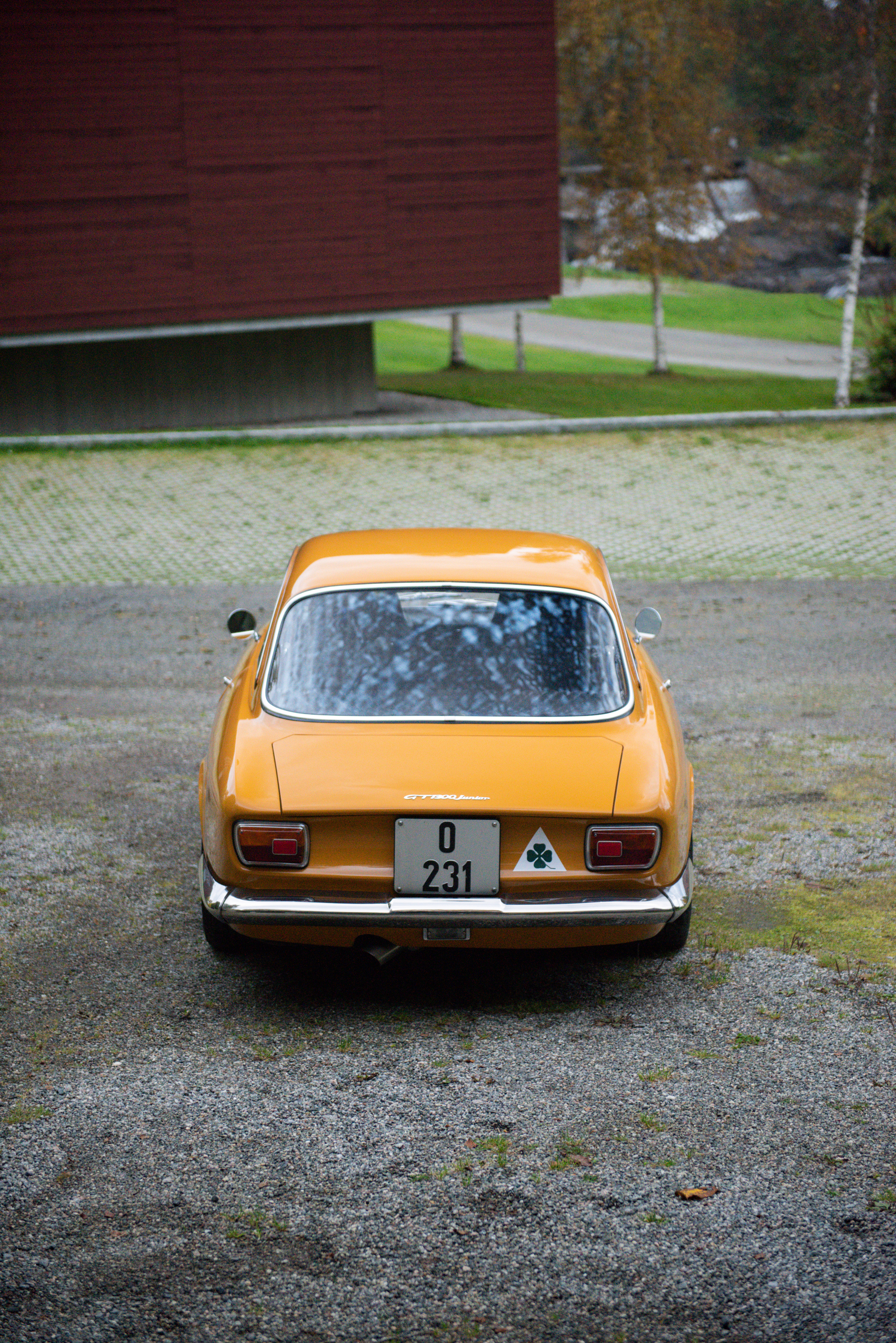 DSC_6307.jpg