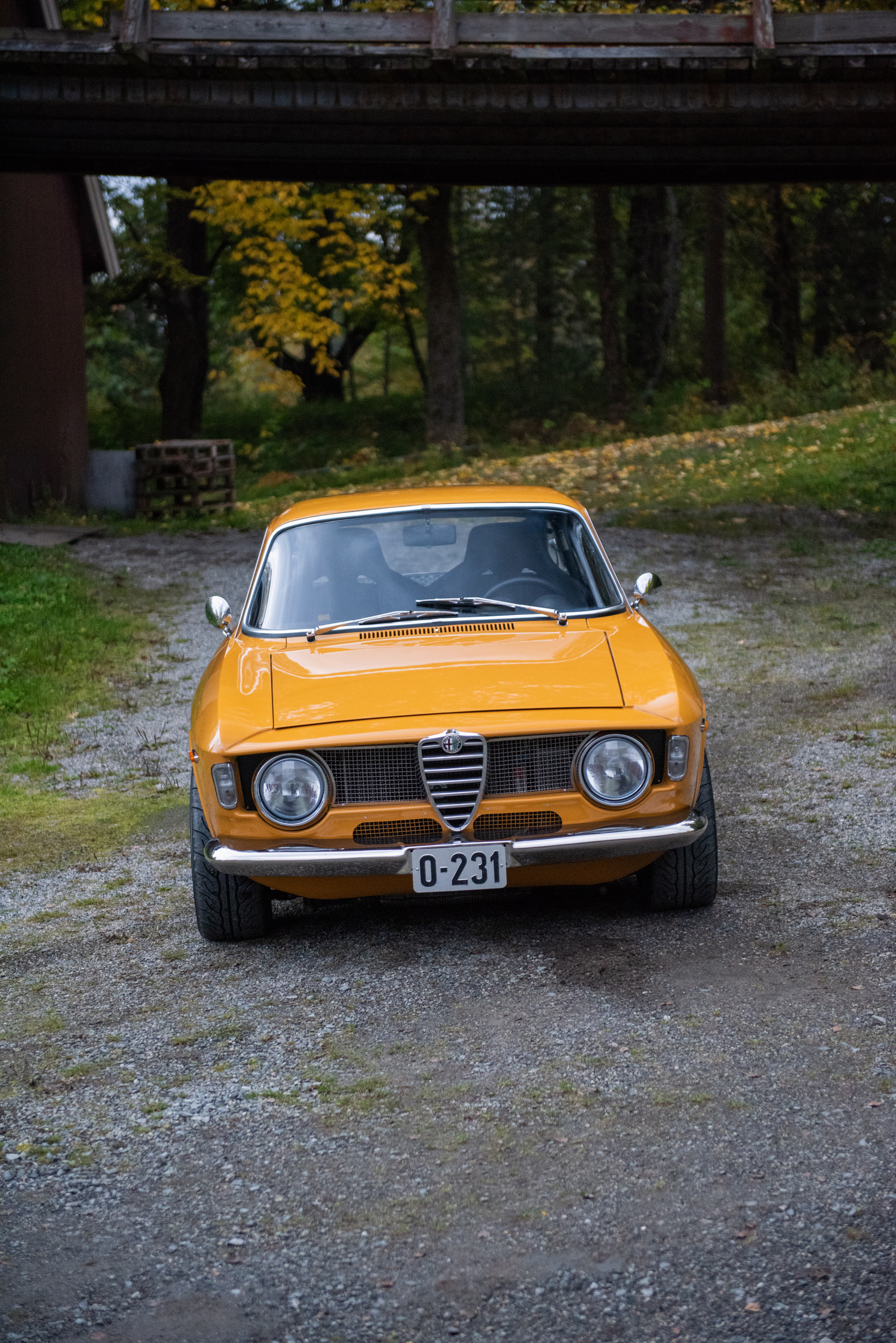 DSC_6309.jpg