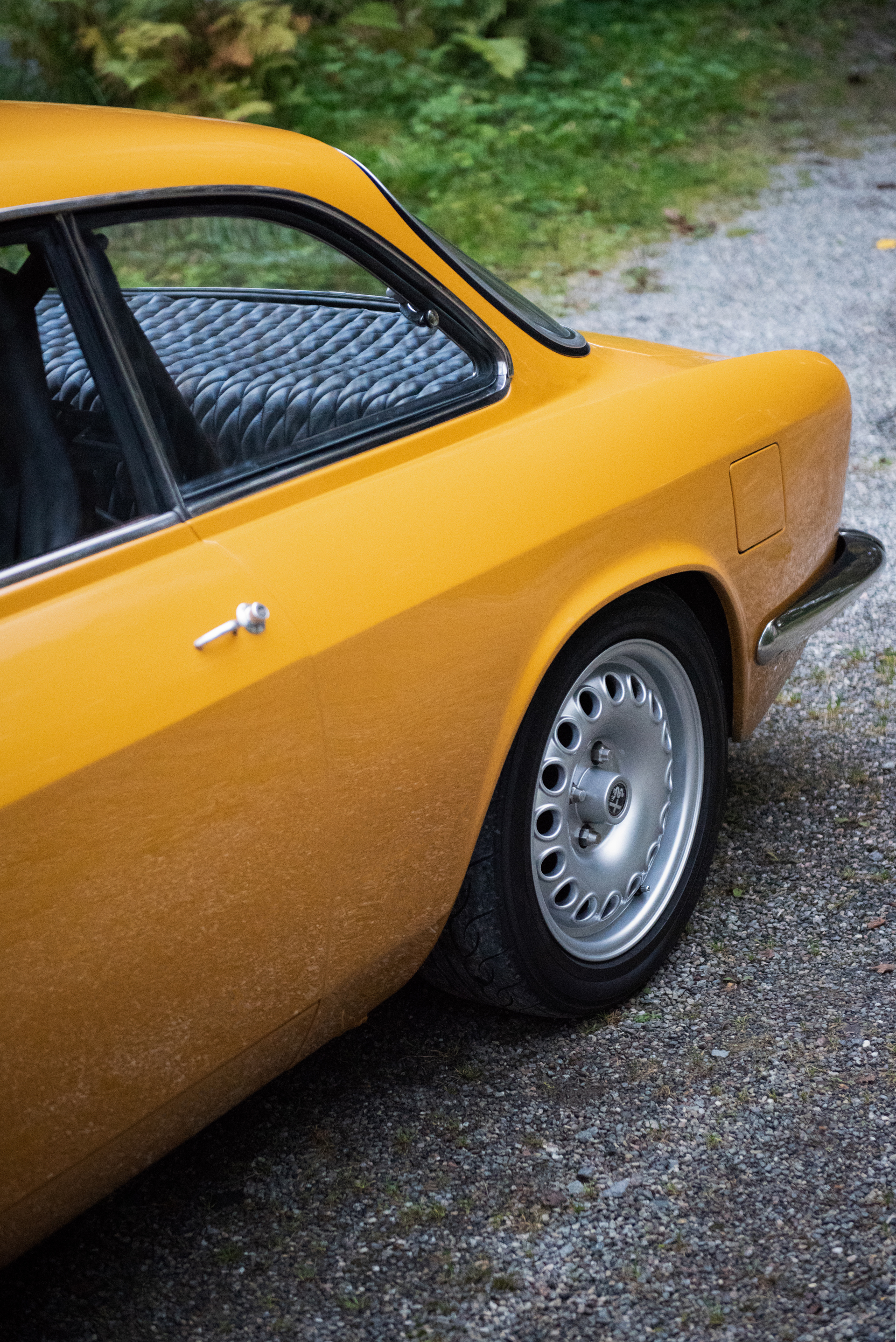 DSC_6316.jpg
