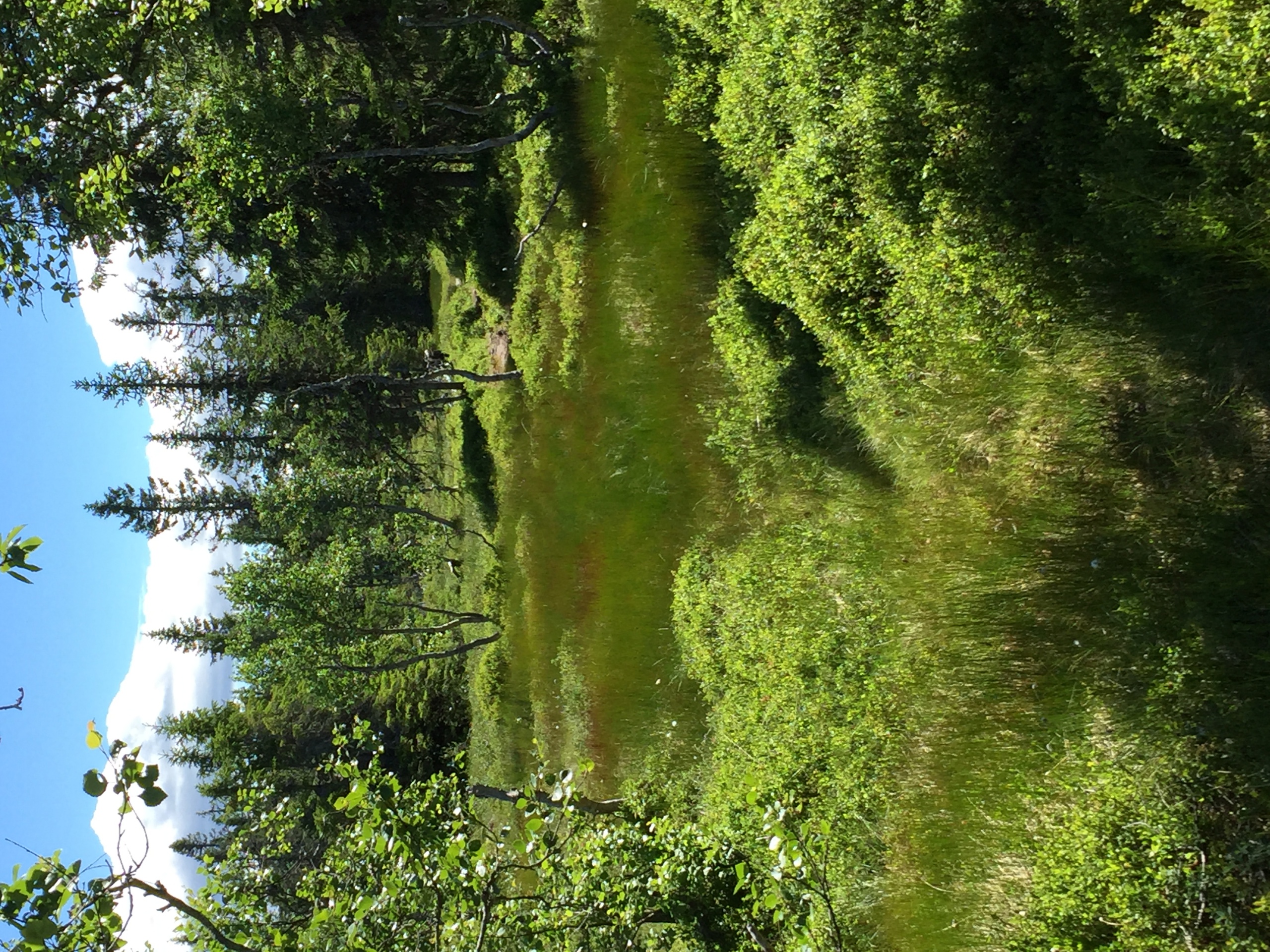 Åpent møte om framtiden til Ringsakerfjellet