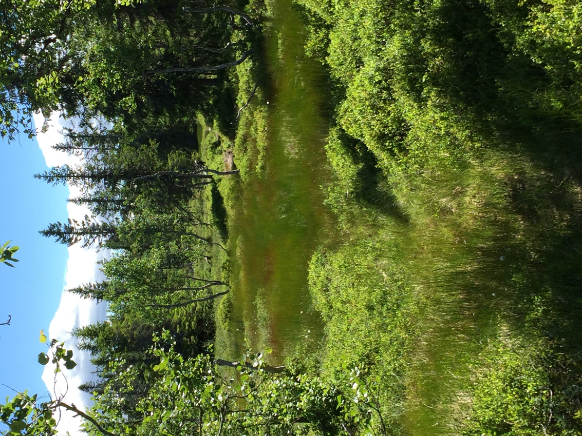 Åpent møte om framtiden til Ringsakerfjellet