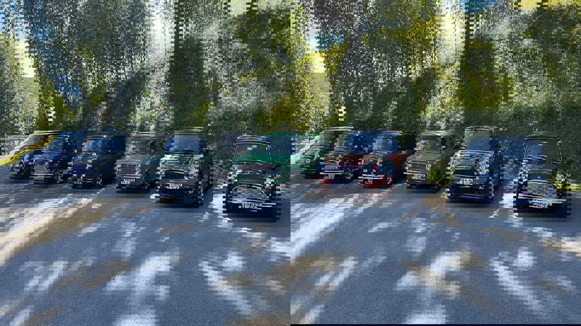 295833027_10160357865353454_4488067562509098683_n.
