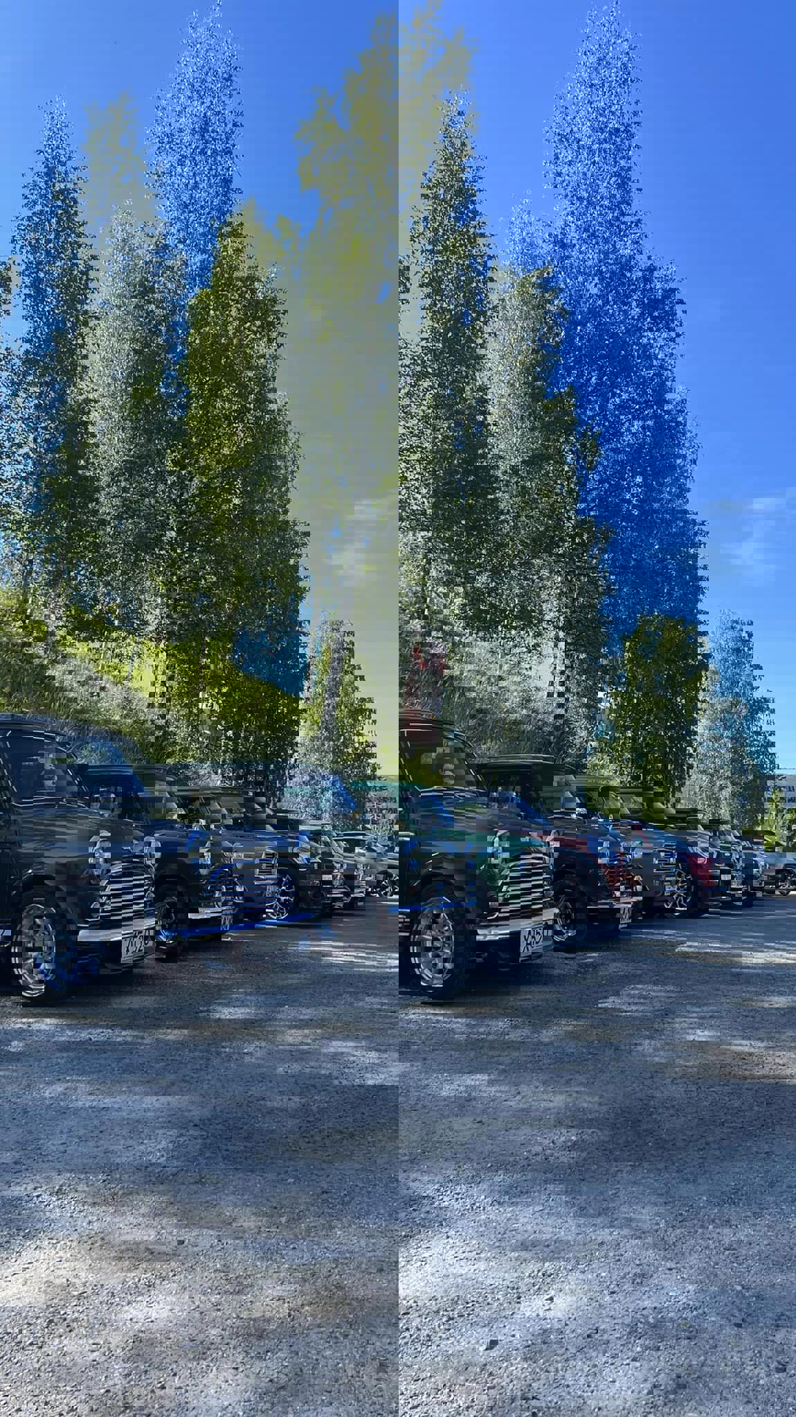 295918411_10160357865203454_5986662619045720892_n.