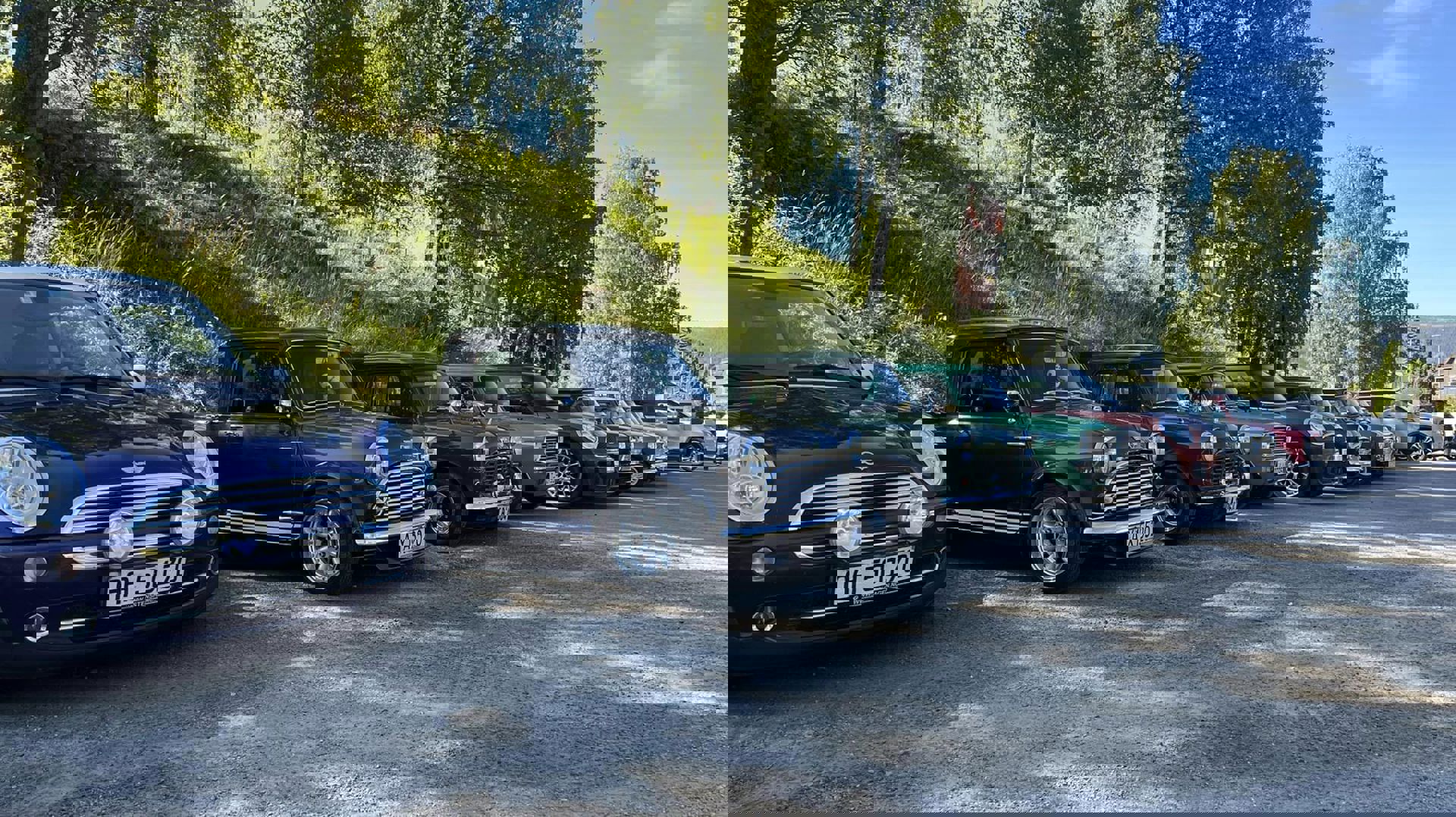 295969313_10160357871988454_7893310310481066435_n.