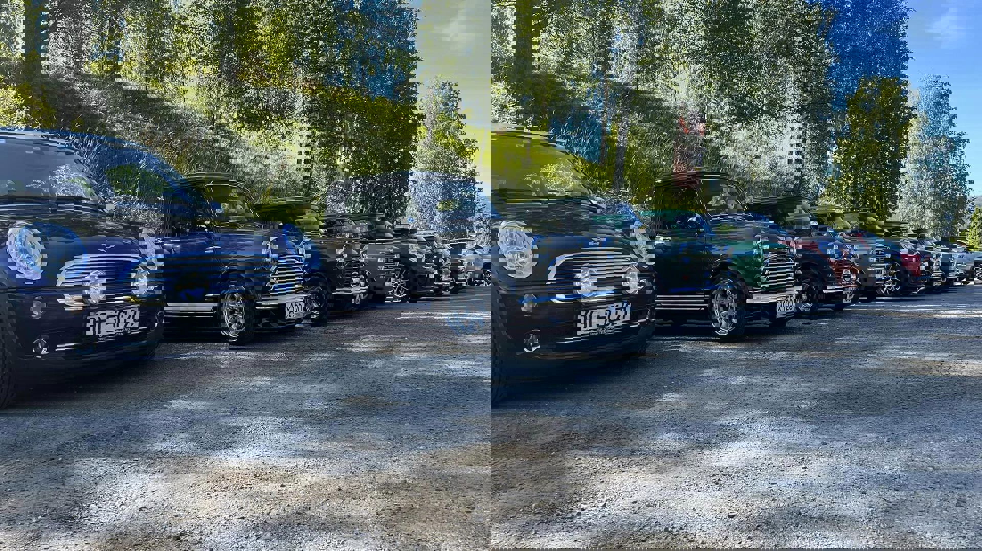 296018127_10160357865373454_265208829527869573_n.j