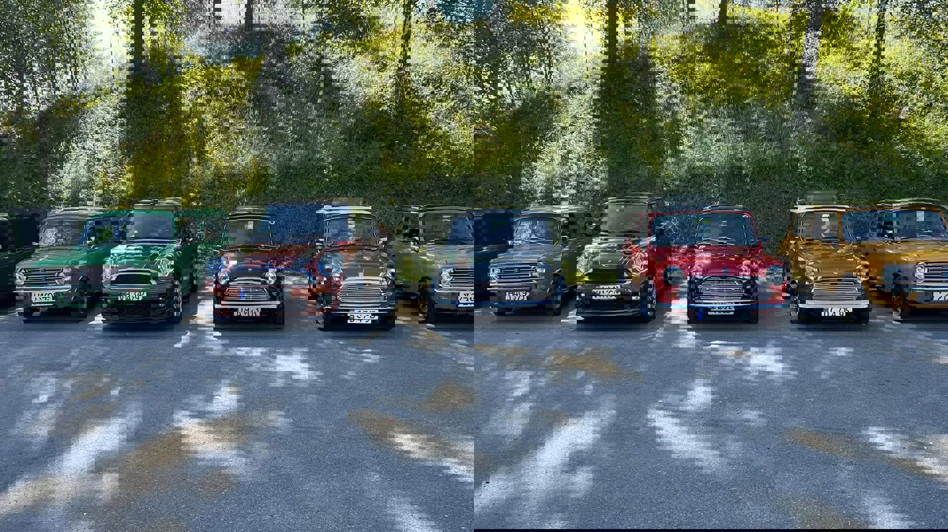 296025666_10160357865108454_288986464056130187_n.j