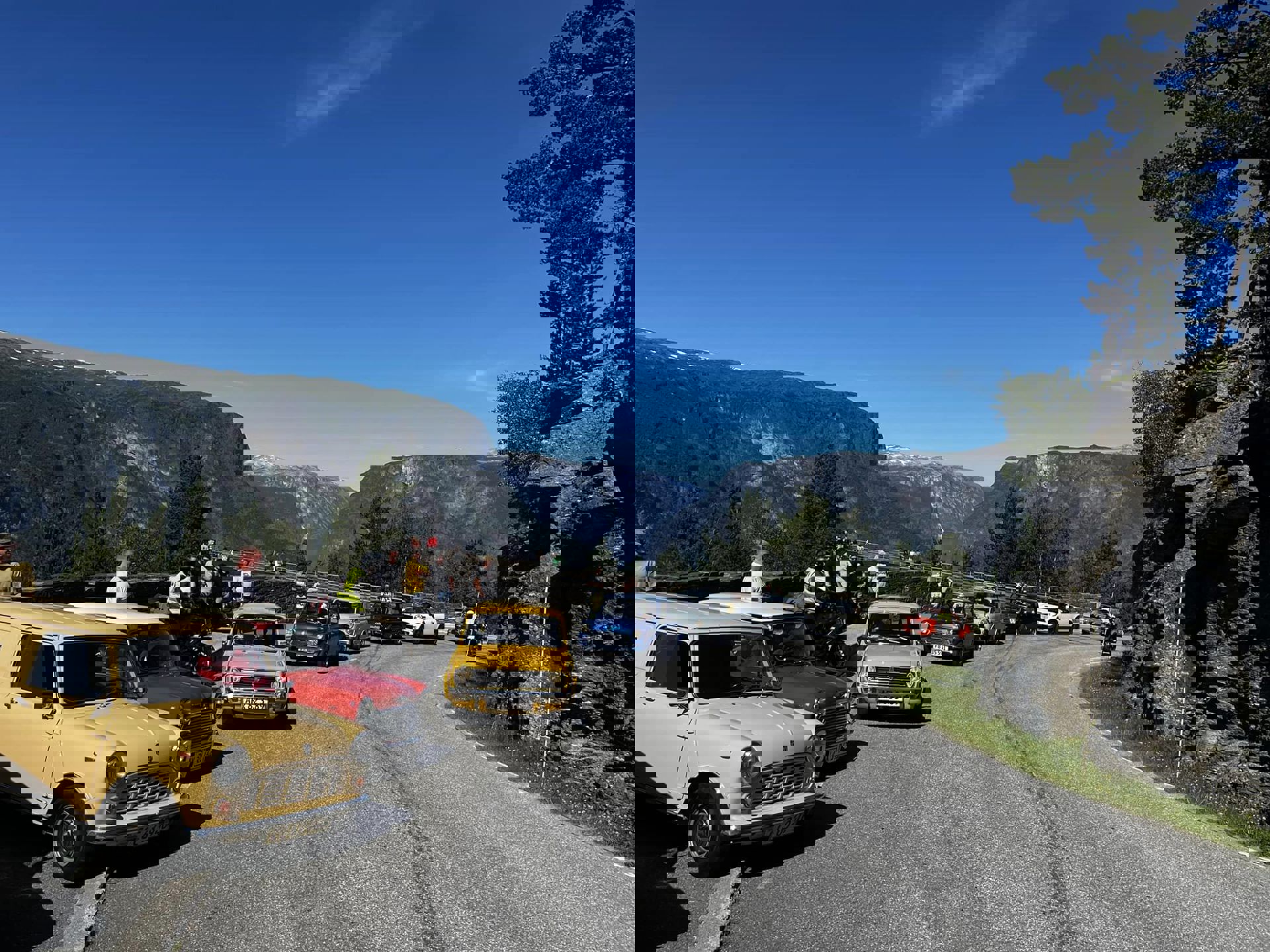 296040598_10166668773930471_2992794955878866687_n.