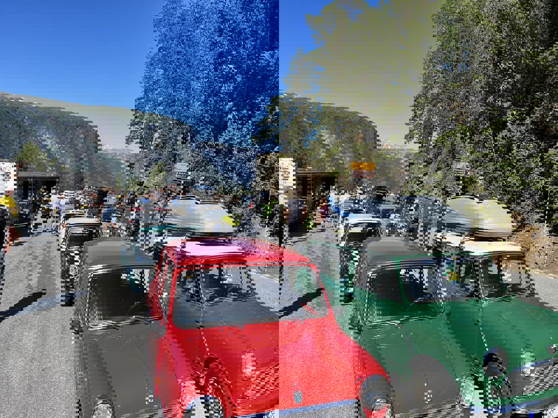 296238038_5407970359287985_6258408003873936523_n.j