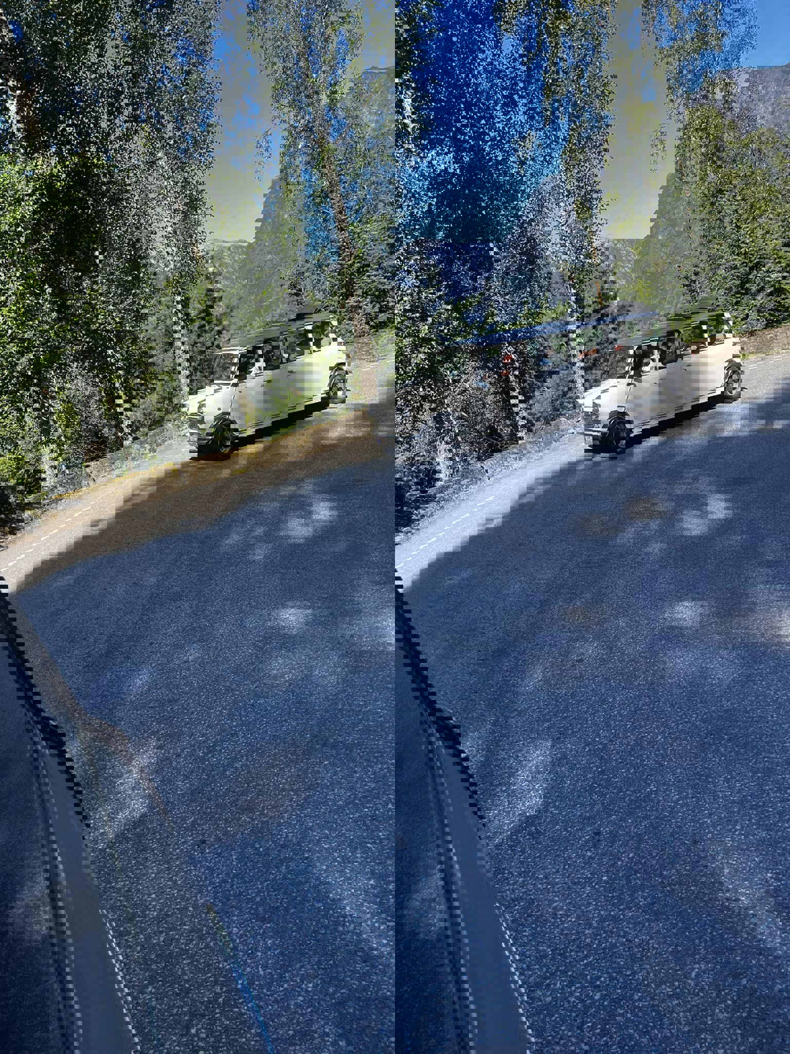 296944267_10166668775940471_5119708092079235899_n.