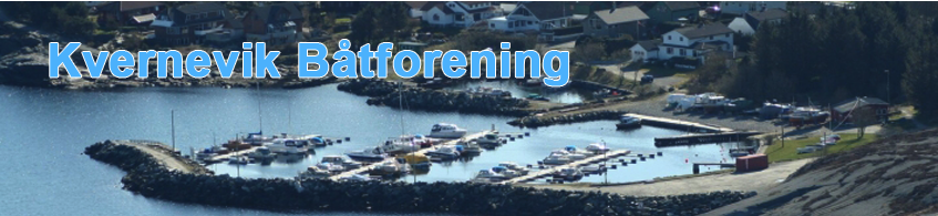 Referat årsmøtet 2026