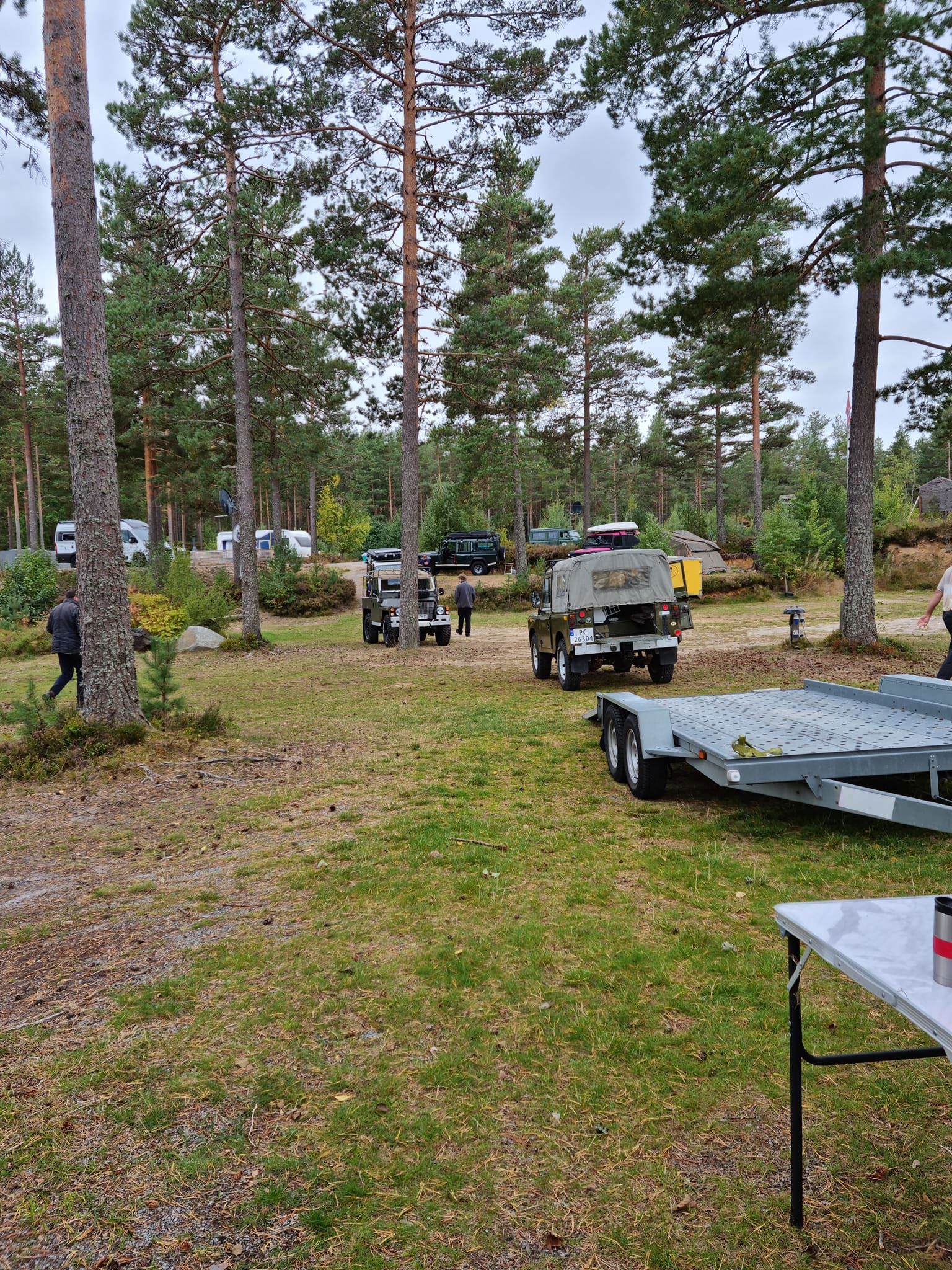Cato Baarli 3.jpg