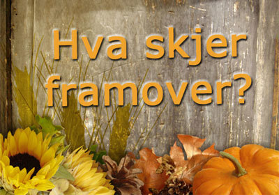 Mye spennende skjer på Romerike i høst