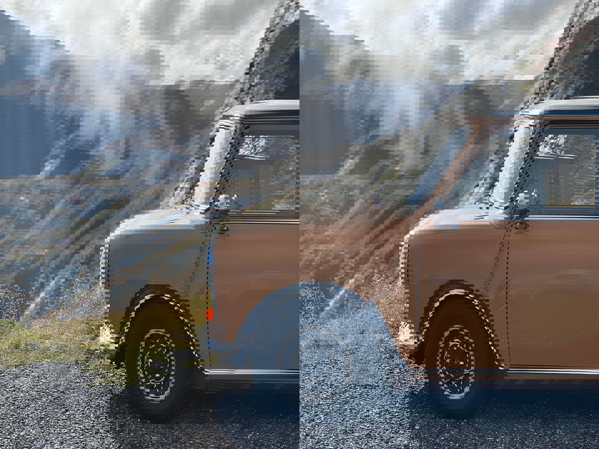 307960602_1413624482454988_8691605587835287190_n.j