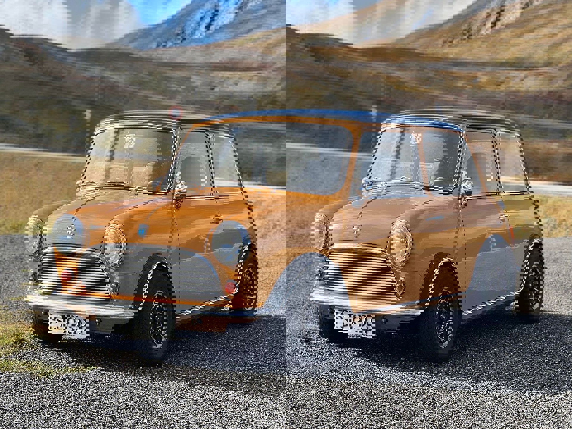 308077466_1195725624618149_9180480126116358807_n.j