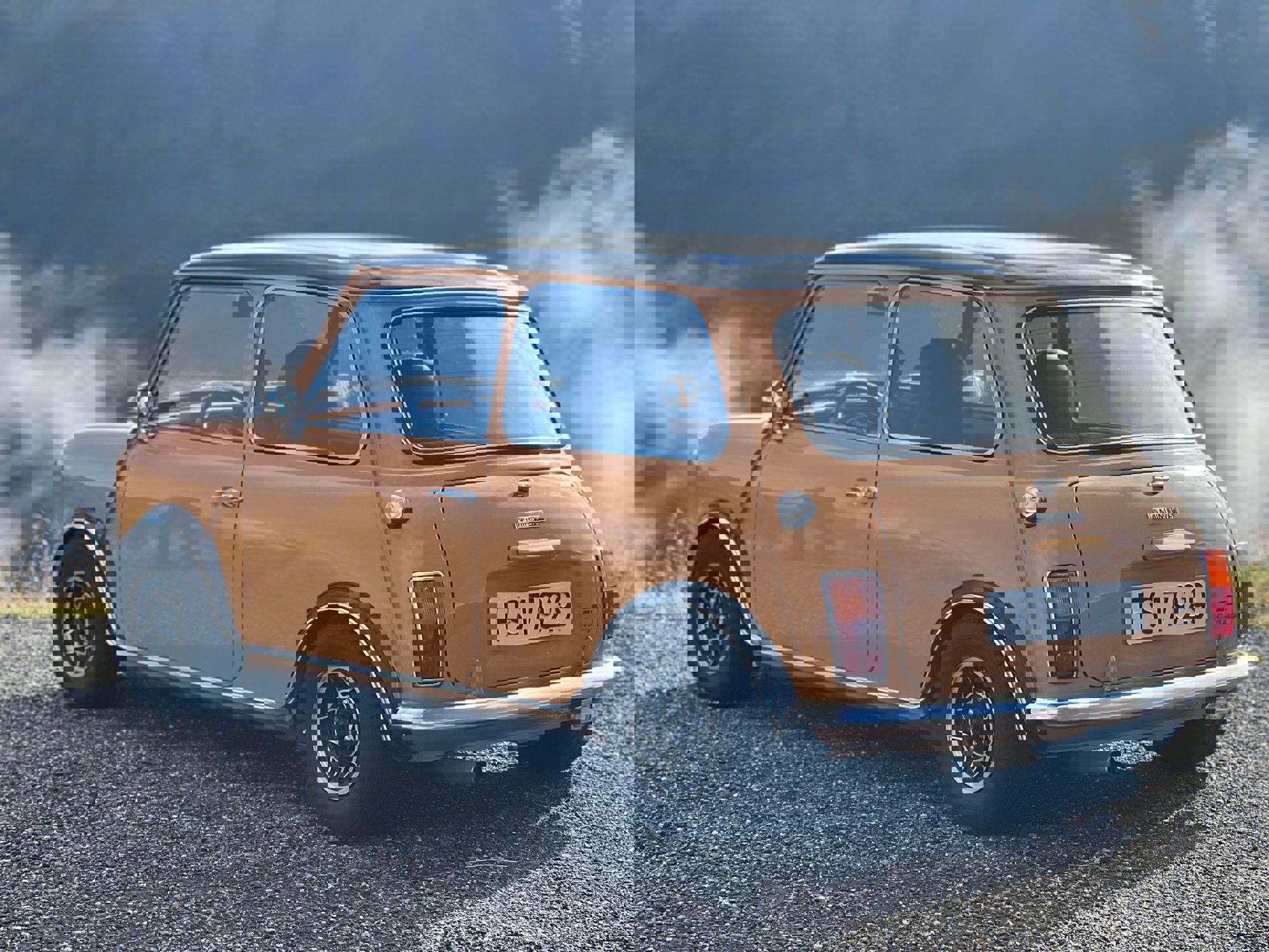 308215000_4974915789276179_5404732349508383039_n.j