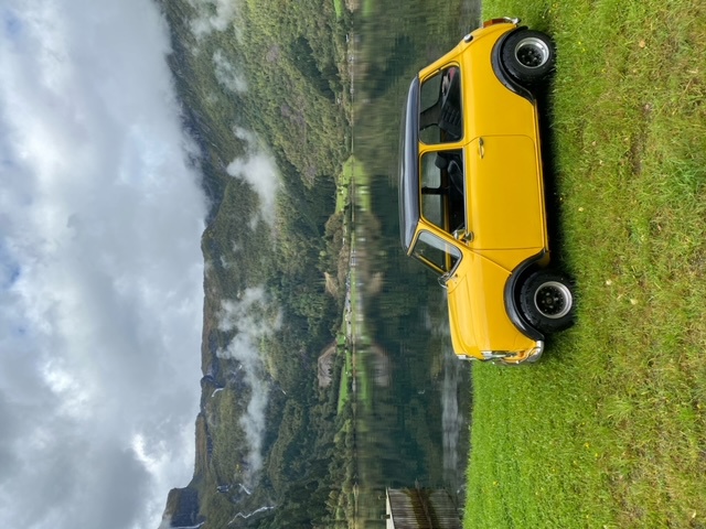 image7.jpeg