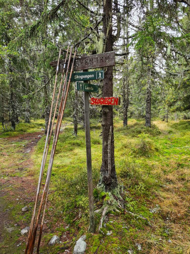 Forberedelse dugnad.jpg