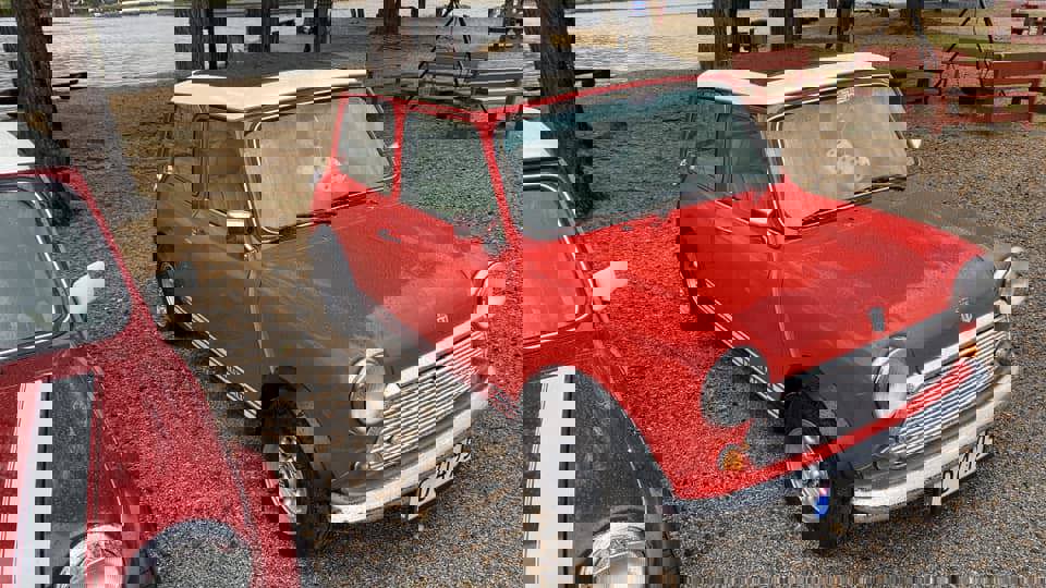 309318956_10158905255772108_7083718917408257742_n.
