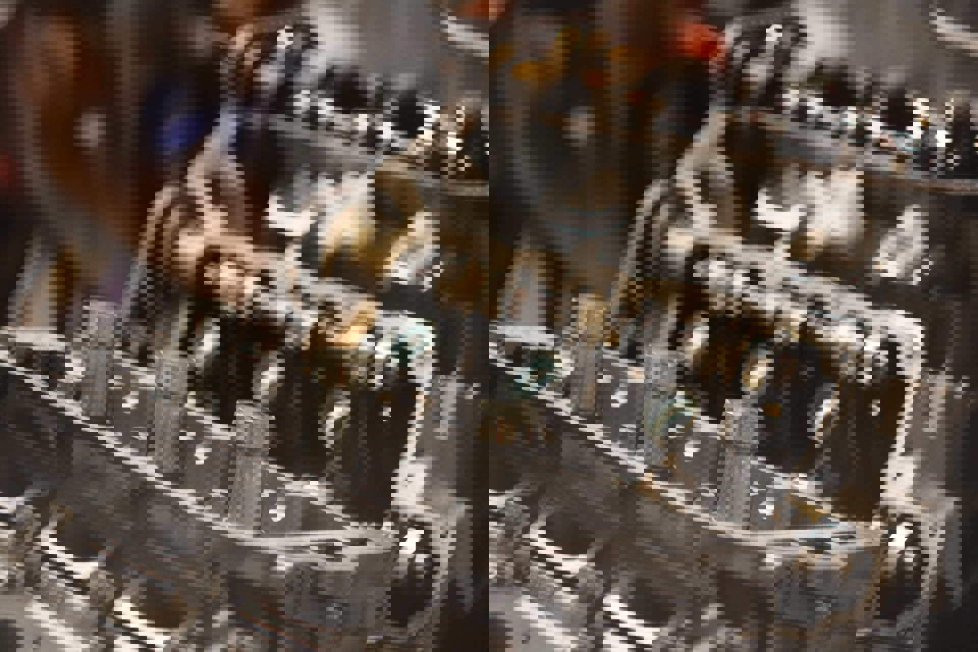81849314_10162776234610301_6863584122439204864_n.j