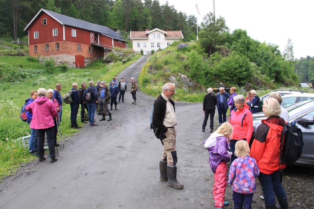 Referat fra vårtur til Syrdalen 11.06.2017