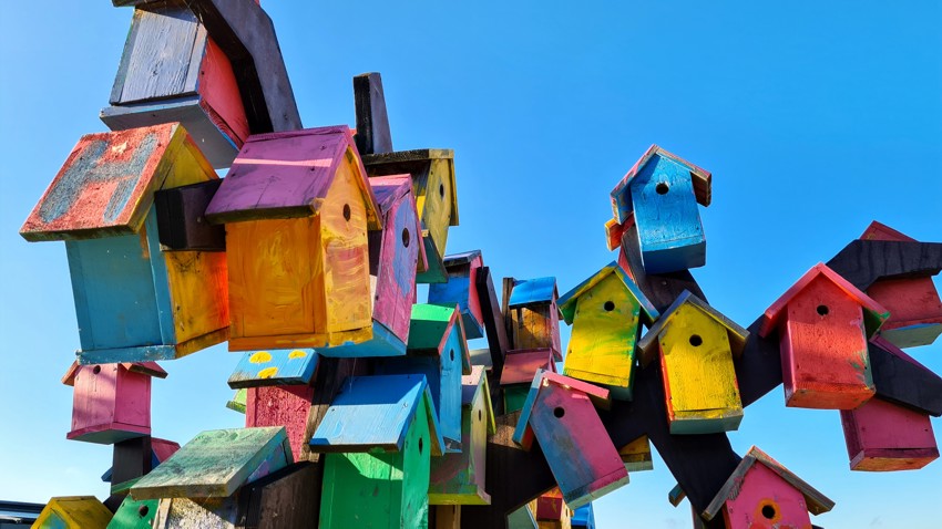 Nærmiljøstøtte fra Vellet i 2026 