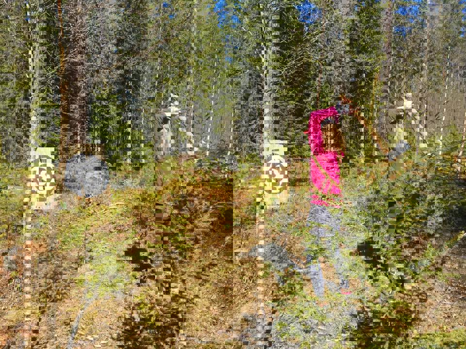 Vårtreff 2017-13.jpg