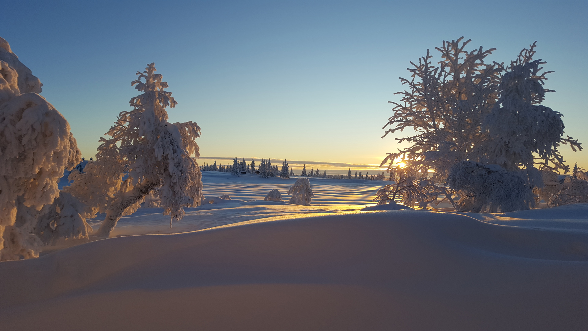 Årsmøte i Ljøsheim og Omegn Vel søndag 22. februar