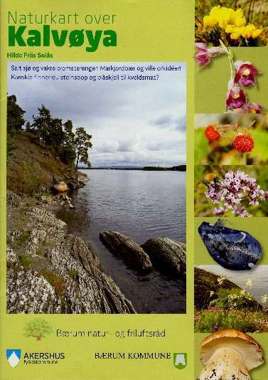 Forside Kalvøya.jpg