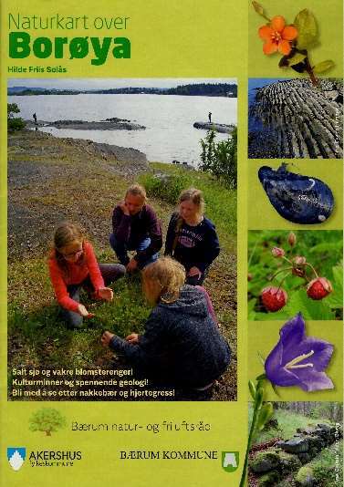 Forside Borøya.jpg