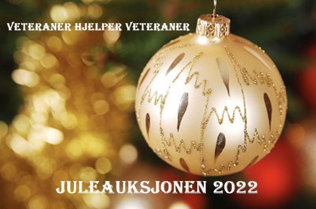 Stiftelsen takker juleauksjonen og Arild Lihaug