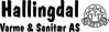 Artikkelbilde til artikkelen Hallingdal Varme & Sanitær