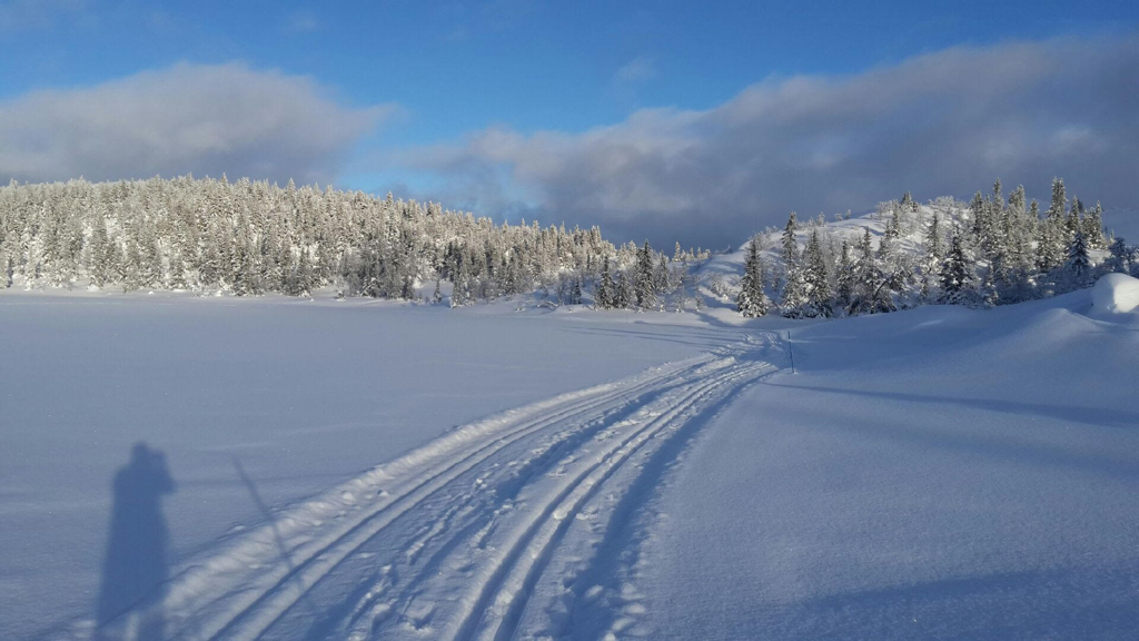 Tyveri Løypeskilt Liemarka