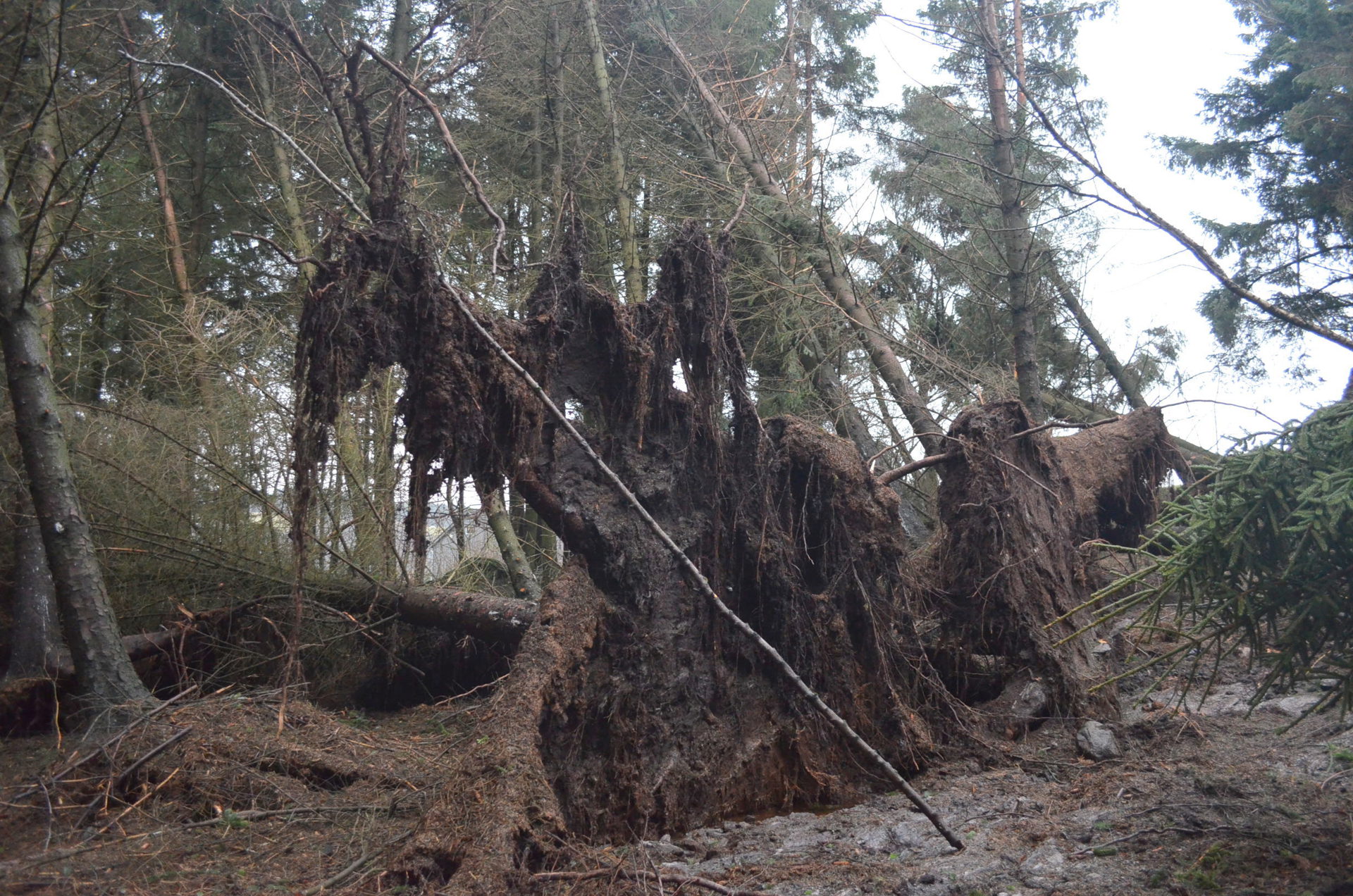 Ullandhaug (8).JPG
