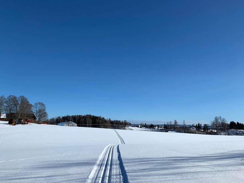 Skiløyper i nærområdet